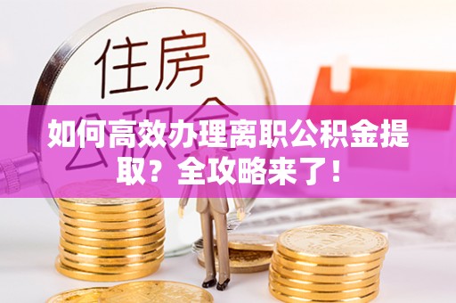 麻栗坡如何高效办理离职公积金提取？全攻略来了！