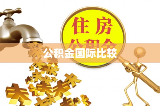 麻栗坡公积金国际比较