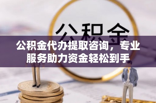 麻栗坡公积金代办提取咨询，专业服务助力资金轻松到手