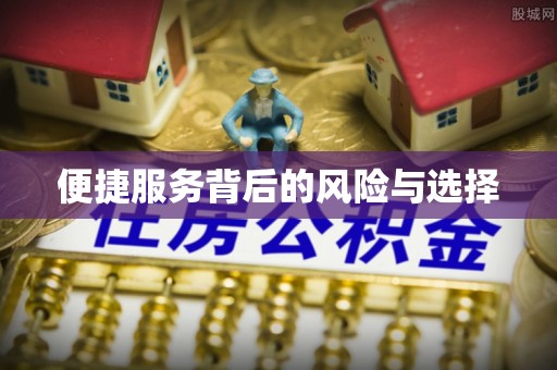 麻栗坡便捷服务背后的风险与选择